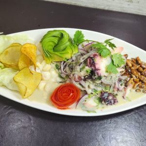 Ceviche de pulpo $14.700